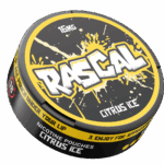 Citrus Ice Nicotine Pouches by RASCAL